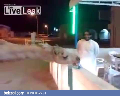 Wielbłąd też człowiek - napić się musi