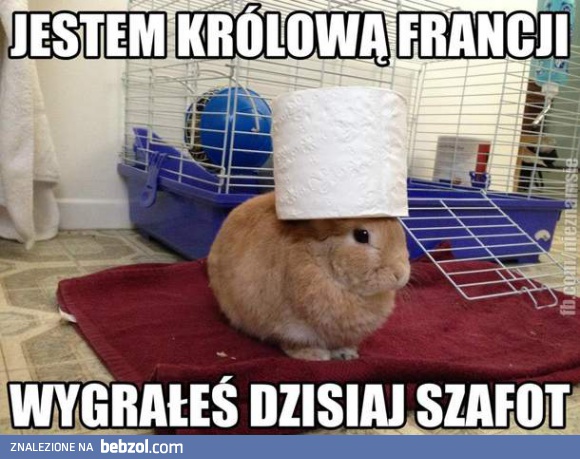 Królikowa Francji