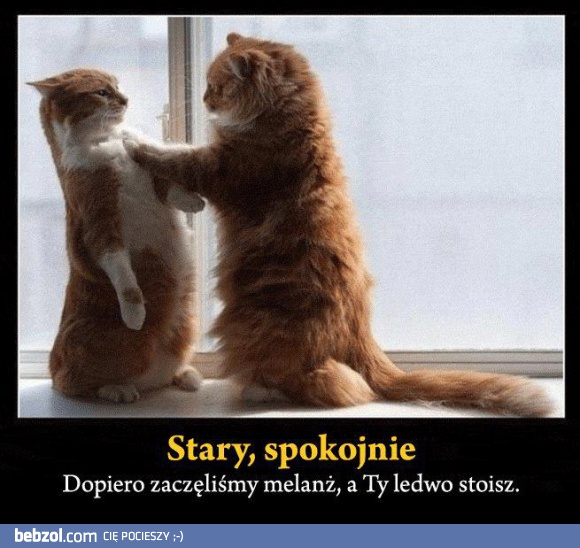 Stary spokojnie!