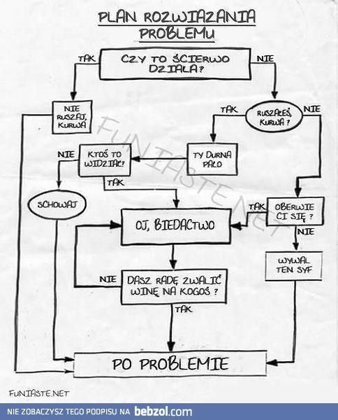 Rozwiązanie problemu