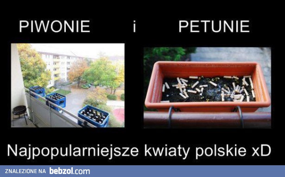 Kwiaty w Polsce