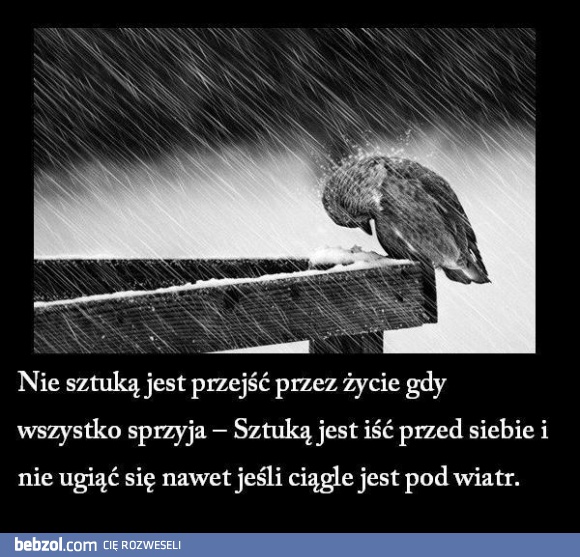 Nie sztuką jest przejść przez życie, gdy...