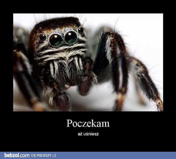 Poczekam aż uśniesz