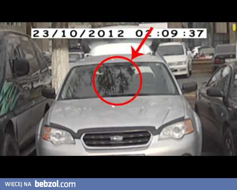 Problemy grubego kierowcy