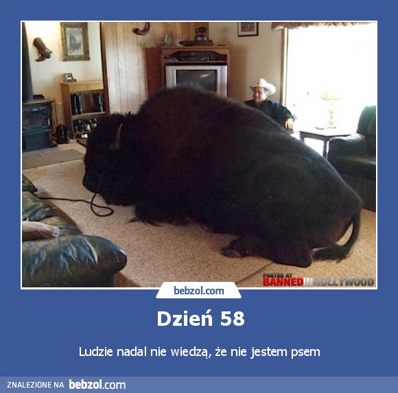 Dzień 58