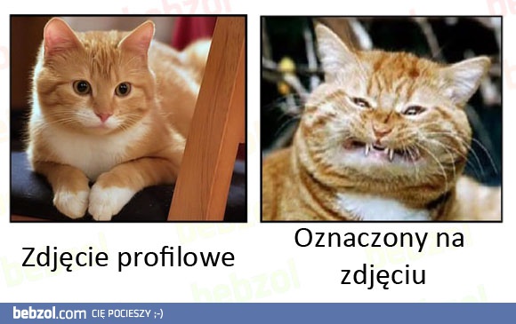 Profilowe vs z zaskoczenia