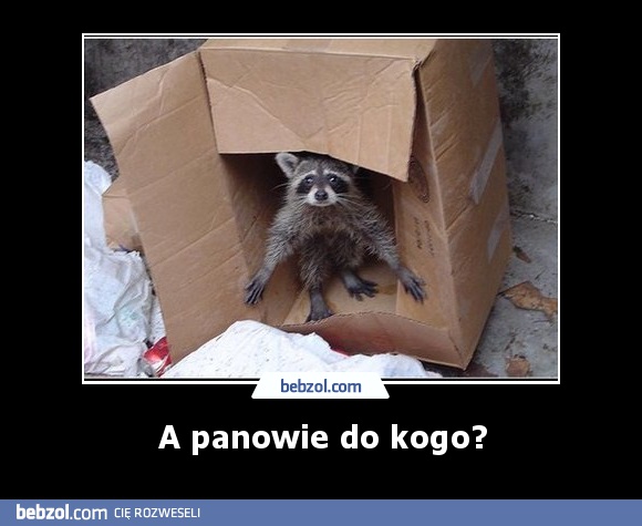 A panowie do kogo?