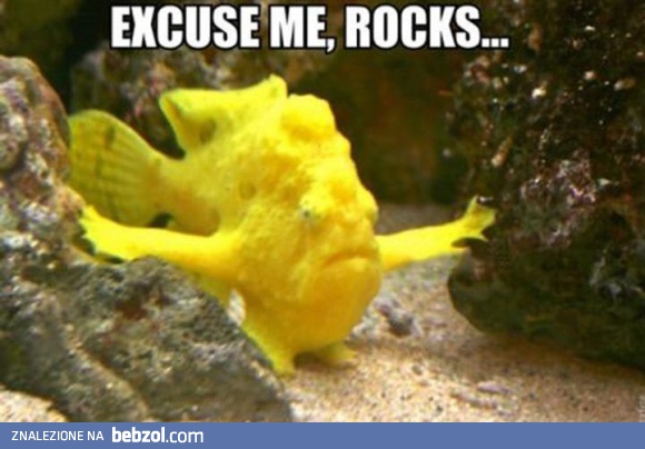 Przepraszam, kamienie