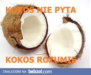 Kokos nie pyta