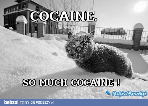 Cocainaaaaa