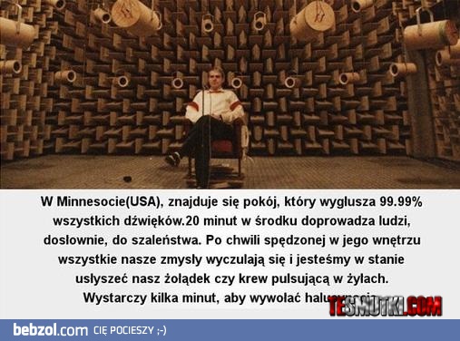 Pokój ciszy