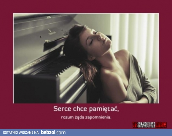 Serce chce pamietać