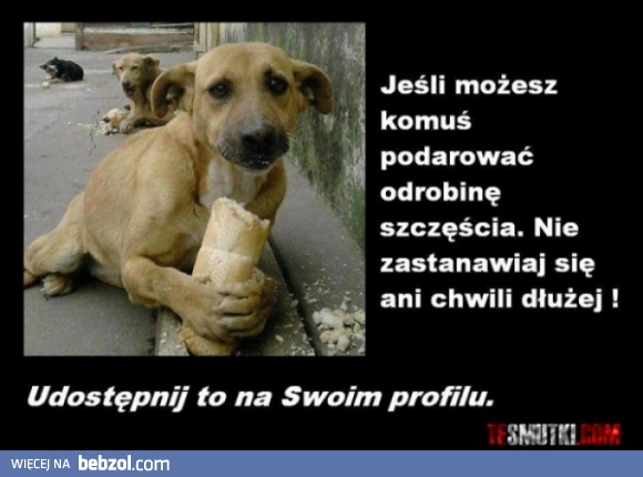 Odrobina szczęścia