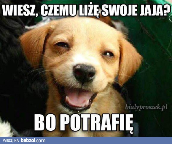 Wiesz, czemu liżę swoje jaja?