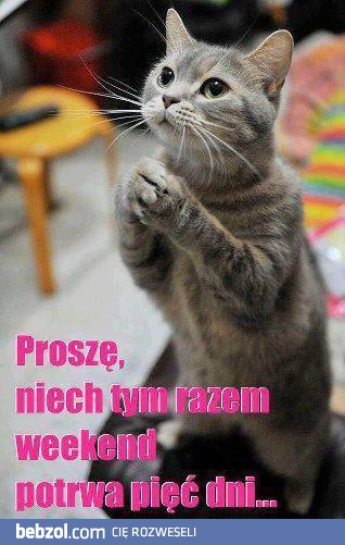 Pięć dni weekendu...