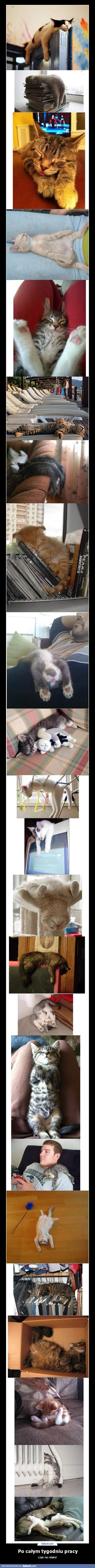 Po całym tygodniu pracy