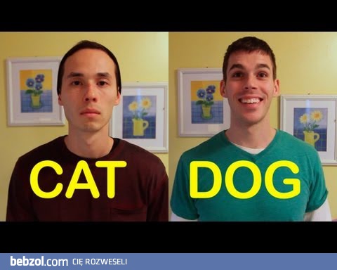 Ludzie-psy i ludzie-koty