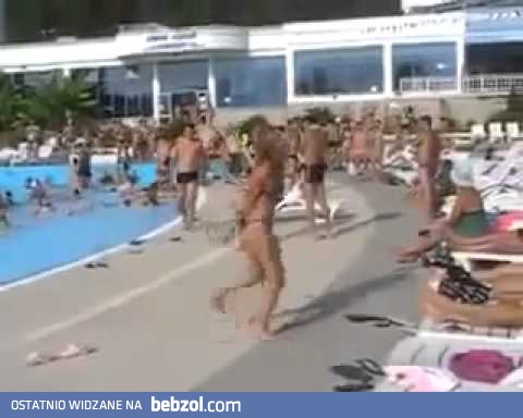 Niezła foczka w basenie