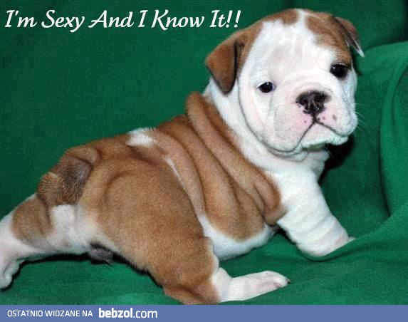 I'm sexy and I know it!