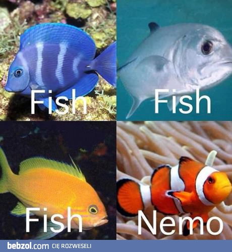 Ryba, ryba, Nemo, ryba