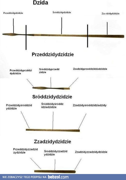 Z czego składa się dzida?