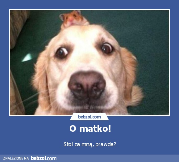 O matko!