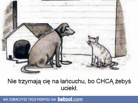 Nie trzymają cię na łańcuchu, bo...
