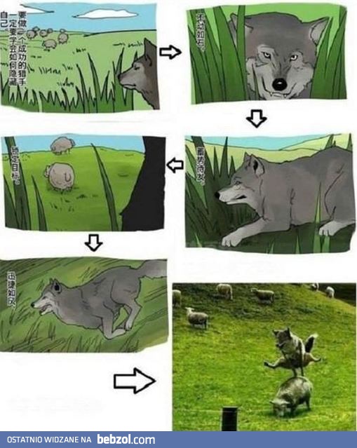 Zaskakujący zwrot akcji