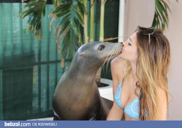 Niezłe foczki całują się ze sobą