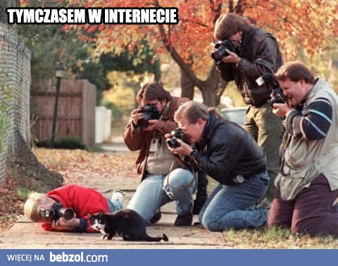 Tymczasem w Internecie