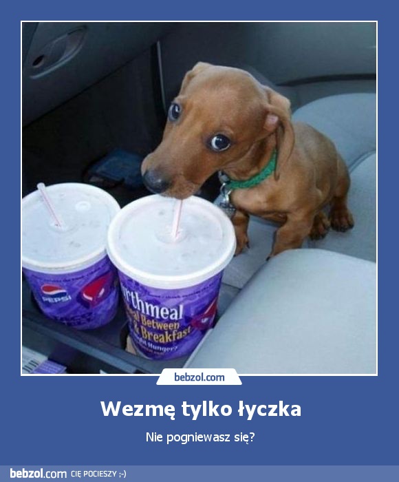 Wezmę tylko łyczka