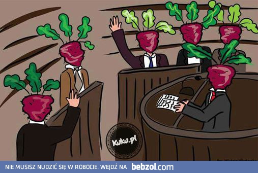 Buraki modyfikowane genetycznie