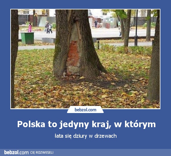 Polska to jedyny kraj, w którym