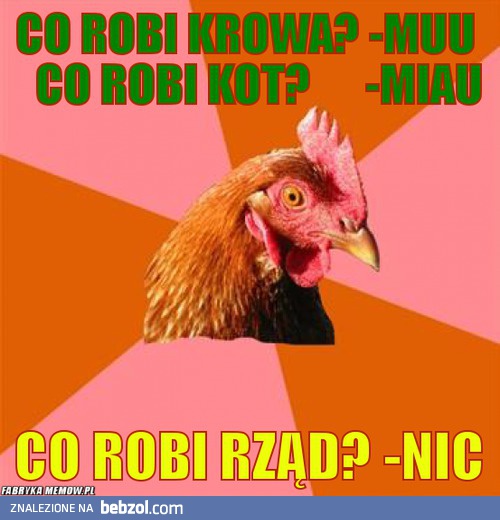 Co robi krowa, kot, rząd?