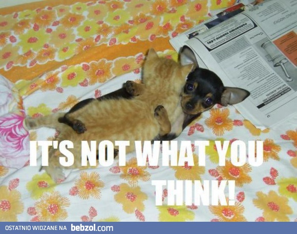 To nie to, co myślisz!