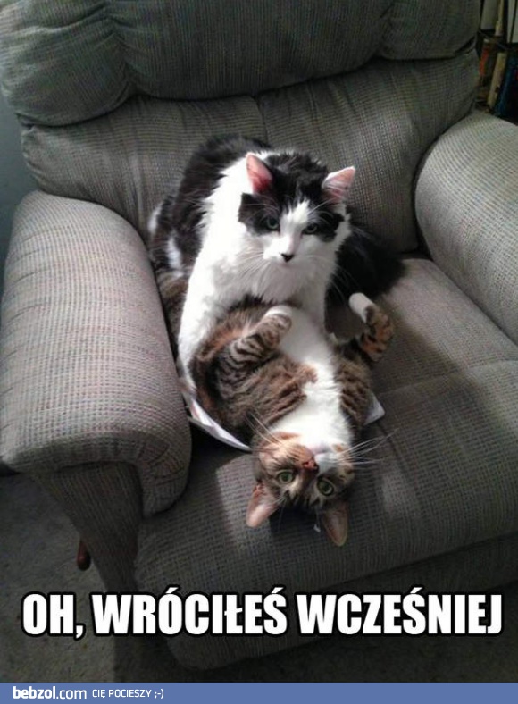 Oh, wróciłeś wcześniej