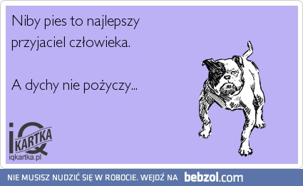 Pies najlepszy przyjaciel