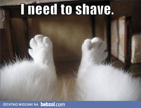 Muszę się ogolić!
