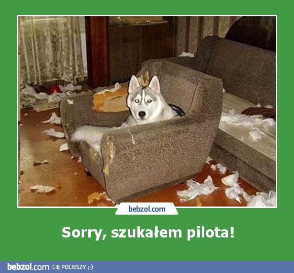 Sorry, szukałem pilota!