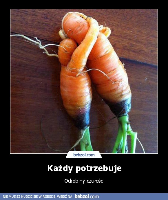 Każdy potrzebuje
