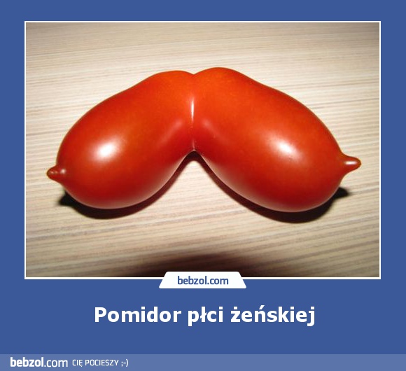 Pomidor płci żeńskiej
