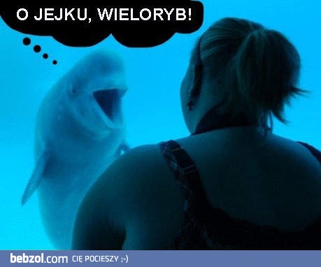 Wieloryb!
