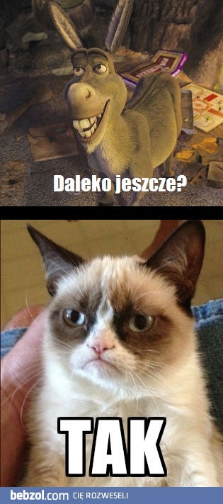 Daleko jeszcze?