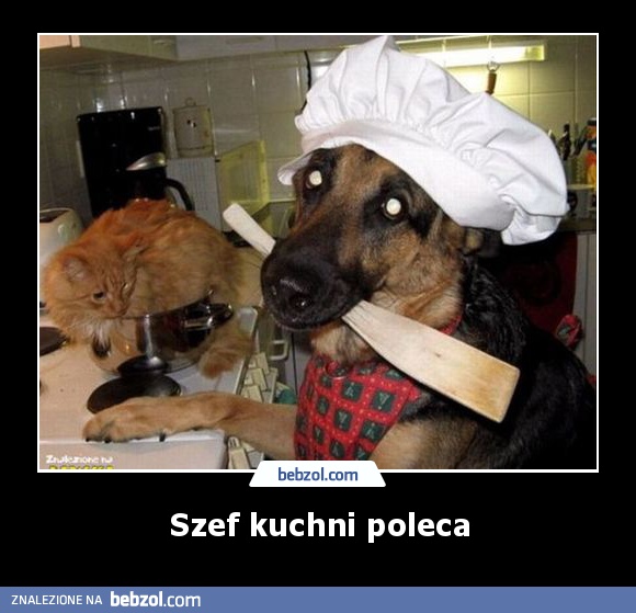 Szef kuchni poleca