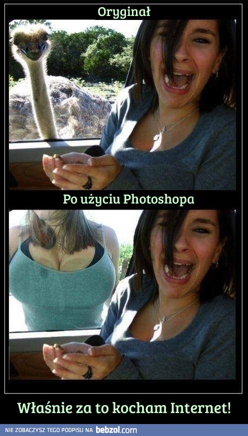 Właśnie za to kocham Internet!
