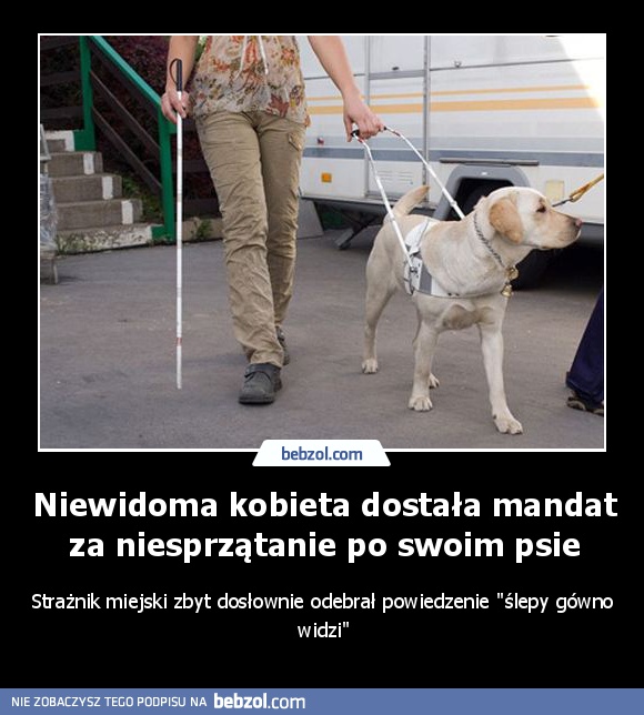 Niewidoma kobieta dostała mandat za niesprzątanie po psie