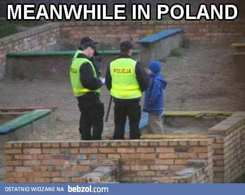 Polska policja
