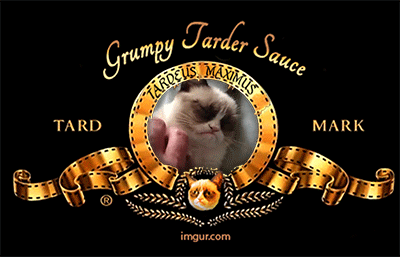 Zrzędliwy kocur przedstawia!