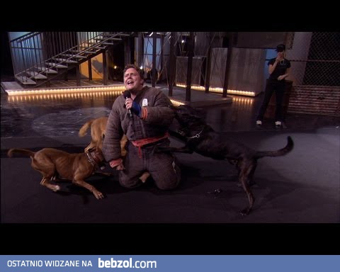 Killer Karaoke i złe psy