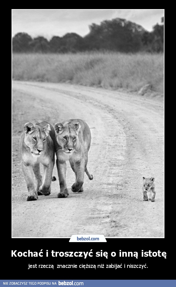 Kochać i troszczyć się o inną istotę
